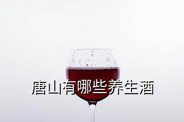 唐山有哪些養(yǎng)生酒