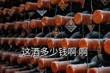 這酒多少錢啊 啊