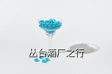 叢臺(tái)酒廠之行