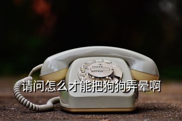 請問怎么才能把狗狗弄暈啊