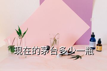 現(xiàn)在的茅臺多少一瓶