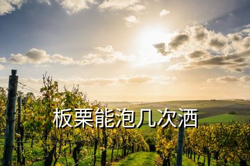 板栗能泡幾次灑