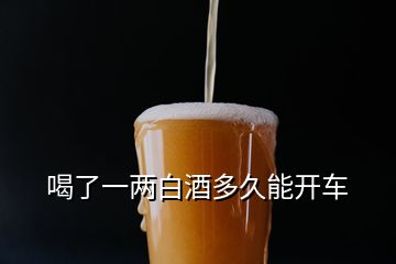 喝了一兩白酒多久能開車