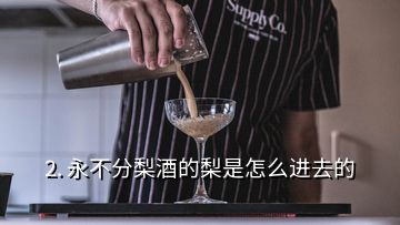 2. 永不分梨酒的梨是怎么進(jìn)去的