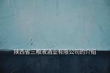 陜西省三糧液酒業(yè)有限公司的介紹