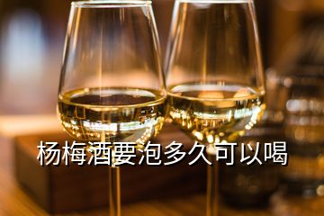 楊梅酒要泡多久可以喝