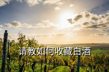 請(qǐng)教如何收藏白酒