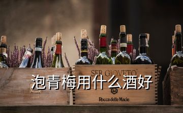 泡青梅用什么酒好