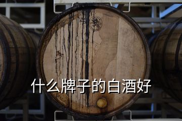 什么牌子的白酒好