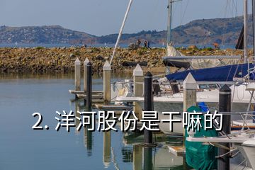 2. 洋河股份是干嘛的