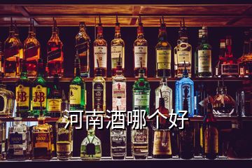 河南酒哪個好