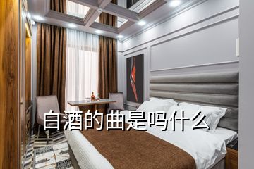 白酒的曲是嗎什么