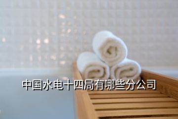 中國水電十四局有哪些分公司