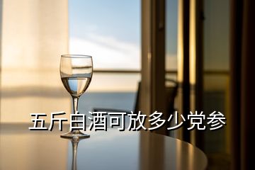 五斤白酒可放多少黨參