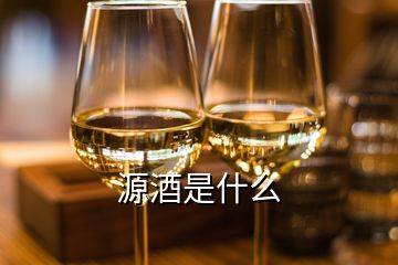 源酒是什么