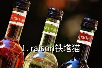 1. raison鐵塔貓