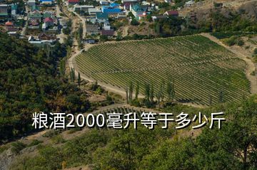 糧酒2000毫升等于多少斤