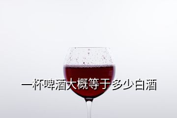 一杯啤酒大概等于多少白酒