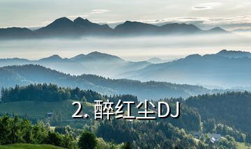 2. 醉紅塵DJ