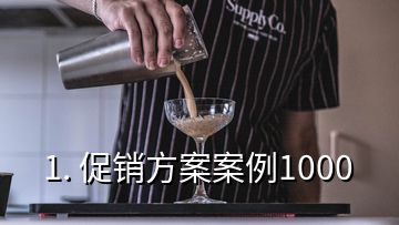 1. 促銷方案案例1000