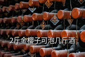 2斤金櫻子可泡幾斤酒