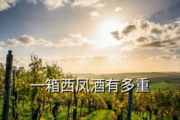 一箱西鳳酒有多重