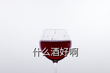 什么酒好啊