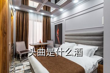 頭曲是什么酒