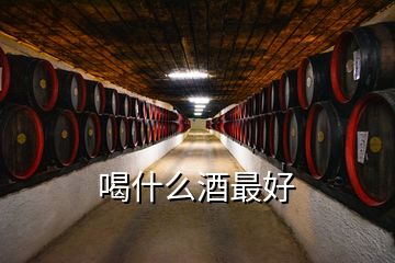 喝什么酒最好