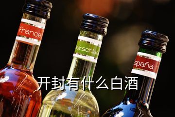 開(kāi)封有什么白酒