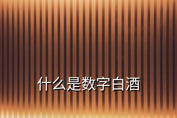 什么是數(shù)字白酒