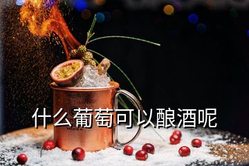 什么葡萄可以釀酒呢