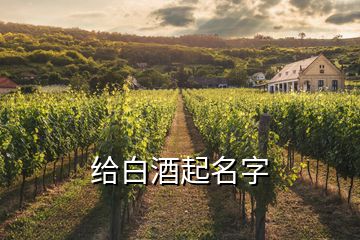 給白酒起名字