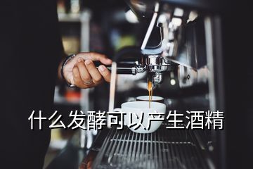 什么發(fā)酵可以產(chǎn)生酒精