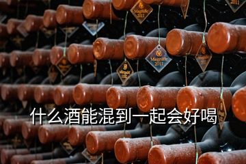 什么酒能混到一起會(huì)好喝