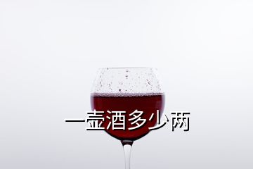 一壺酒多少兩