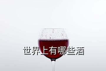 世界上有哪些酒