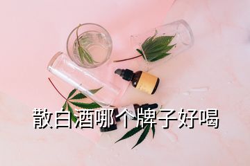 散白酒哪個牌子好喝