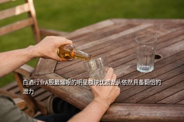 白酒行業(yè)A股最耀眼的明星板塊優(yōu)質(zhì)龍頭依然具備翻倍的潛力