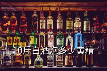 10斤白酒泡多少黃精