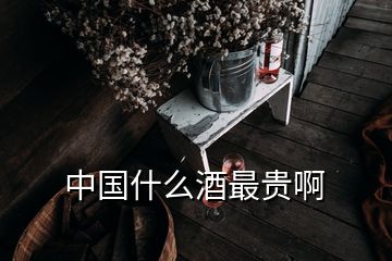 中國什么酒最貴啊