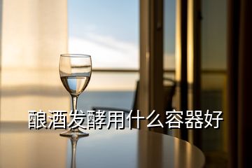 釀酒發(fā)酵用什么容器好