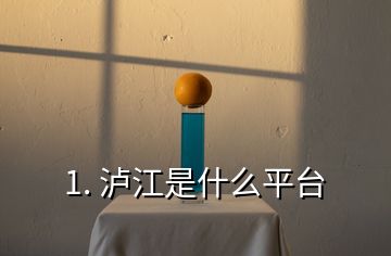 1. 瀘江是什么平臺