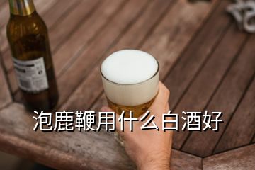 泡鹿鞭用什么白酒好