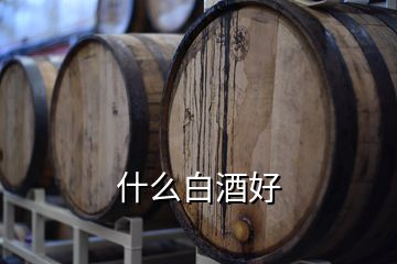 什么白酒好