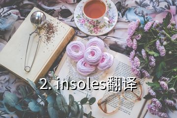 2. insoles翻譯