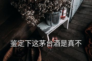 鑒定下這茅臺酒是真不