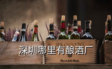 深圳哪里有釀酒廠