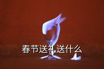 春節(jié)送禮送什么