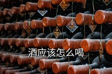 酒應(yīng)該怎么喝